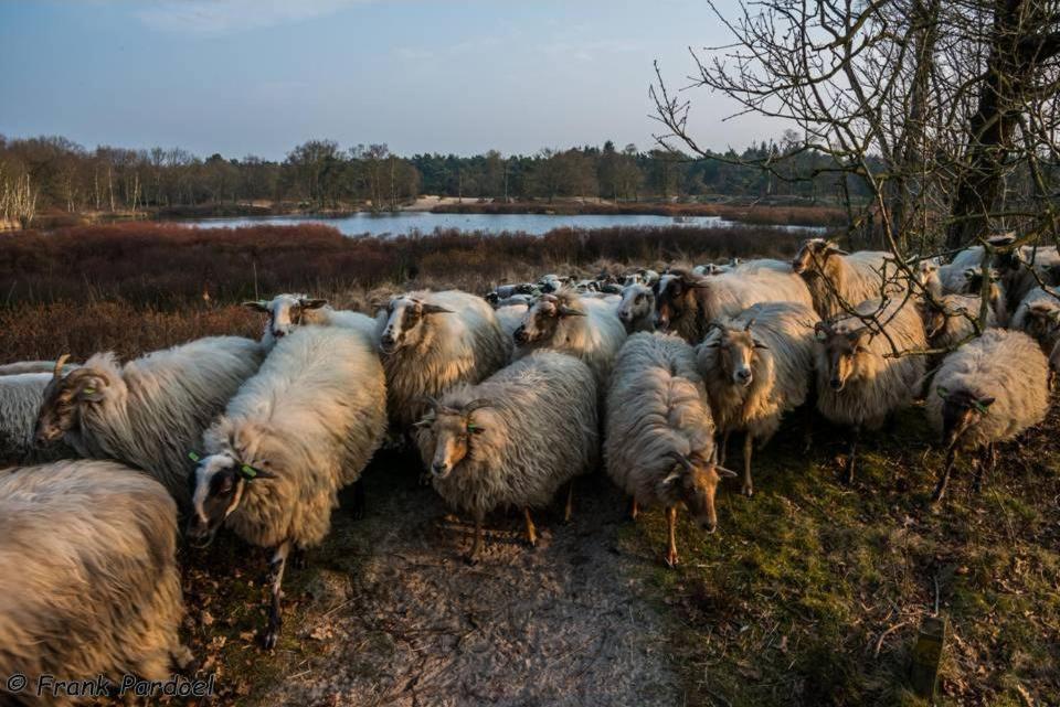 Aa Casia Vakantiehuis Zeegse Eksteriør bilde